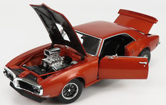 Firebird Pontiac 1967 1969 1970 1973 1977 1:18CUSTOM BUILT12METAL BODY MODEL24