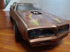 Pro Built Super Detailed Custom paint 1/25 Scale Model. They’re Amazing