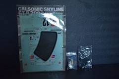 Tamiya TT-01 R34 Calsonic Skyline JGTC 1/10 Scale RC Car Kit