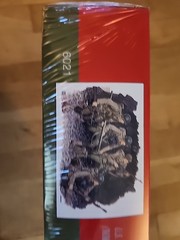 NEW DRAGON PANZERSPAHWAGEN MODEL KIT RAILWAY VERSION With German Ausf.H SdKfz