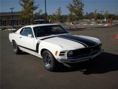 1970 Ford Mustang Boss 302 Stripes 1/24th – 1/25th Scale Waterslide Decals