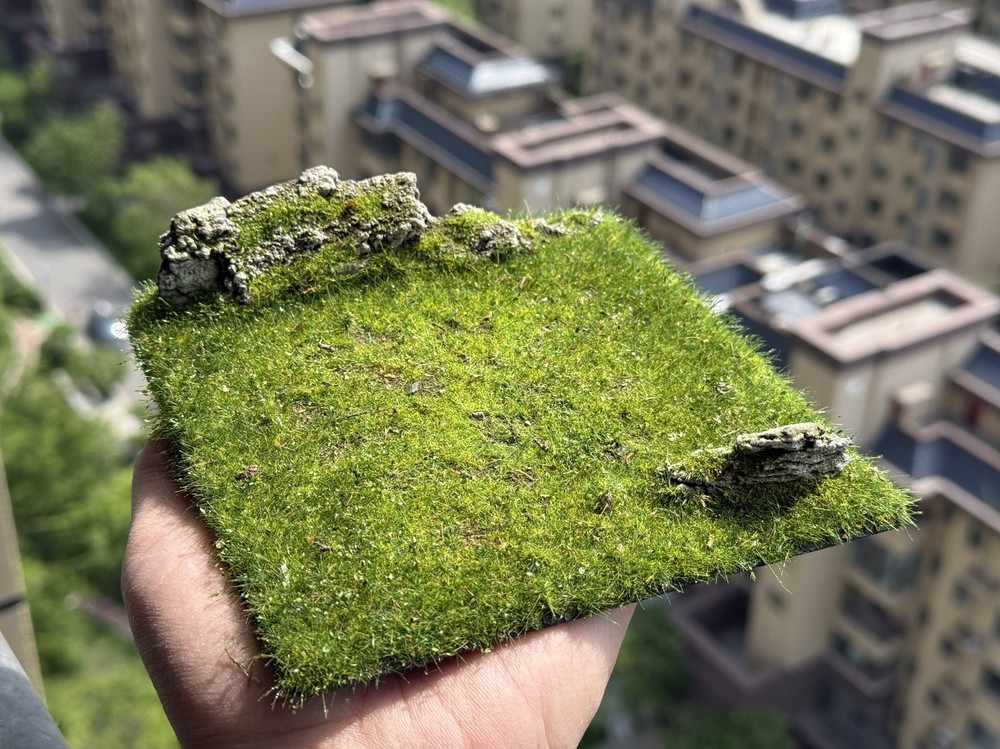 Realistic Moss Grassland Base Model Scene Display