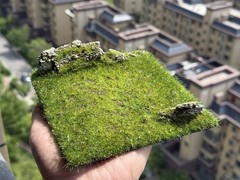 Realistic Moss Grassland Base Model Scene Display