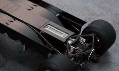 Hasegawa 1/20 LOTUS 79 German GP Winner 1978 Detail Up Version Model kit