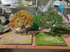 Realistic Moss Grassland Base Model Scene Display
