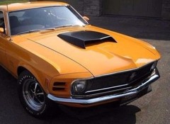 FORD Mustang Race Car Custom Classic18Boss GT 1:24Built Model12Carousel Org1969