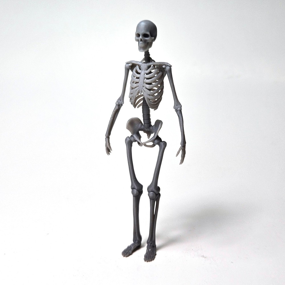 Skeletons 1/20 Scale, Ma.K, Maschinen Krieger