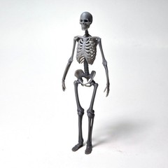 Skeletons 1/20 Scale, Ma.K, Maschinen Krieger
