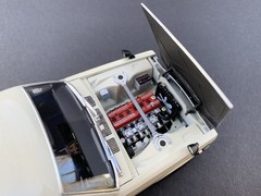 Custom Model Car Service