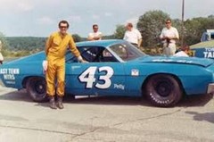 #43 Richard Petty Ford Torino 1969 1/24th – 1/25th Scale Nascar Decals