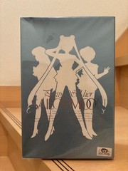 Sailor Moon 1/8 Garage Kit Figure G-PORT Japan