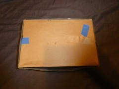 1991 Monogram Lamborghini LP500S Model Ki, 1:24 Scale, Open Box
