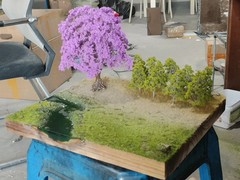 Realistic Moss Grassland Base Model Scene Display