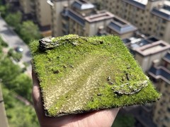 Realistic Moss Grassland Base Model Scene Display