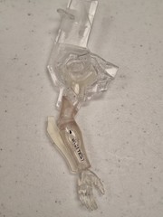 Bandai Newtype LMHG NEON GENESIS EVANGELION UNIT 01 (Clear Version) jm615267