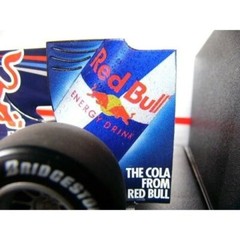 Museum Collection 1/18 Red Bull RB5 Japan GP Decal for PMA from Japan a564