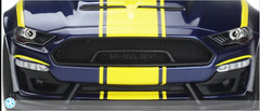 Mustang Ford Shelby1 18Race Car1966Custom Built1967Model1969GT12Carousel Blue24