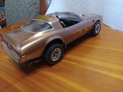 Pro Built Super Detailed Custom paint 1/25 Scale Model. They’re Amazing
