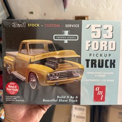 🔥Amt 1953🏆Ford🍻Pickup Truck 3 In 1 1/25 Model Operating Tailgate And Hood