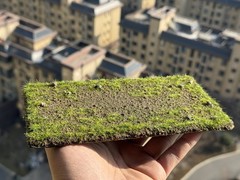 Fake Moss Grass Mat for 1/6 1/12 Soldier Model Diorama Landscape Base Decor