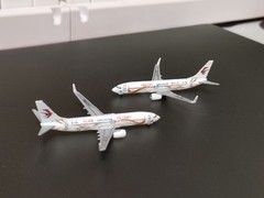 3D Printing 1/700 United States Boeing 737-800 passenger aircraft Unpainted/1Pc