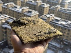 Realistic Moss Grassland Base Model Scene Display