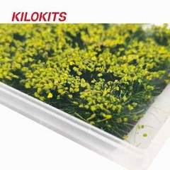 KILOKITS Bush Cluster Grass Tufts Railway Scenery 1/35 1/72 1/87 1/160 Scale