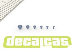 Decalcas Detail-Up Slotted Cheese Head Screw & Washer Various Sizes # DCL-PAR127