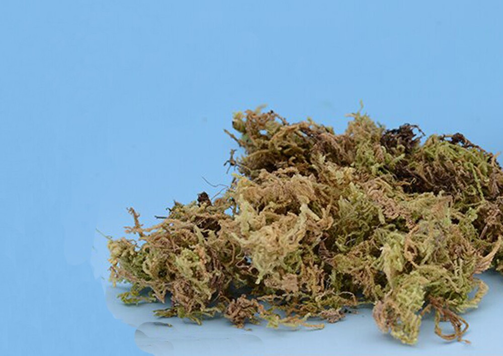 Grass vegetation Model material scene terrain landscape sand table soldier 150ml