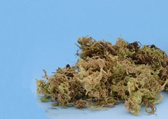 Grass vegetation Model material scene terrain landscape sand table soldier 150ml