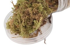 Grass vegetation Model material scene terrain landscape sand table soldier 150ml