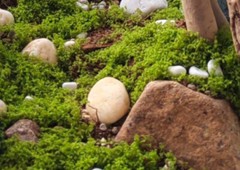 Simulation Landscaping Moss Wool Yarn Turf Green Plant Decoration Scene Material