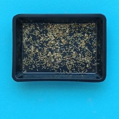 Diorama 1/35 WWII Machine Gun Ammo Shells Model Tank Military Scene Props Model