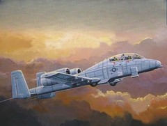 Trumpeter HOBBY BOSS 1/72 N/AW A-10A “Thunderbolt” II 80267