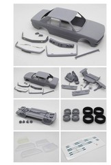 DiOlex DP24188 1/24 3D print resin kit Alpina B9/B10 (BMW E28) with color decals