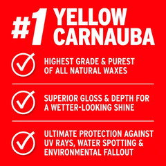 12 Oz. California Gold Carnauba Cleaner Wax Paste