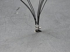 Scale Repro’s Plus 7006 1/24,1/25 8 Cyl. Distributor (Vac. Adv.)-Black Wire)