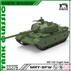 MRY-SFW 1/100 China WZ-132-1 Light Tank