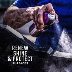 Shine and Protectant Spray Coating for Plastic, Viny, Fiberglass and More