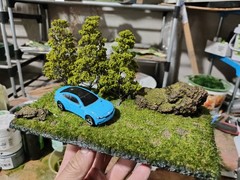 Realistic Moss Grassland Base Model Scene Display
