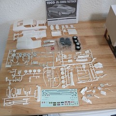 AMT 1969 Ford Torino Cobra Fastback Model Kit 1:25! Build it one of two ways!!
