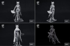 Doyusha MS GENERAL RAIDER OF SHADOW RABBIT (Usagi) 1/10 scale color-coded plasti