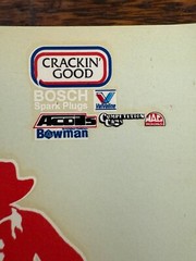 Nascar Mark Martin #60 Winn Dixie Ford Thinderbird 1:24 Decal Blue Ridge Decals