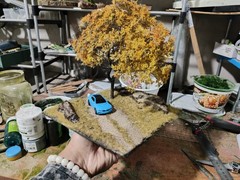 Realistic Moss Grassland Base Model Scene Display