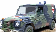 LKW 0,5t gl Panel One – long wheelbase (radstadt 2650) 1/72 ACE 72473