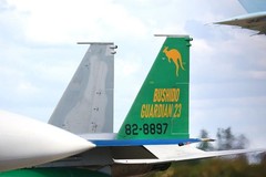 platz 1/72 Air Self-Defense Force F-15J Eagle 303rd Squadron Japan-Australia Joi