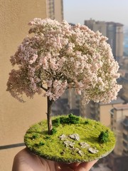 Realistic Moss Grassland Base Model Scene Display