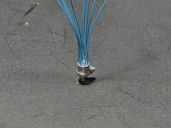 Scale Repro’s Plus 7006 1/24,1/25 8 Cyl. Distributor (Vac. Adv.)-Blue Wire)