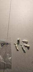 MODEL CAR PARTS ANIMALS DIORAMA EM17