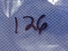 🌟 Unidentified Steering Wheel #126 1:24 Or 1:25 1000s Model Car Parts 4 Sale
